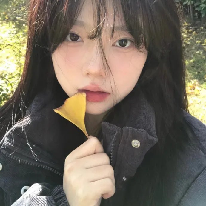 梅花档案